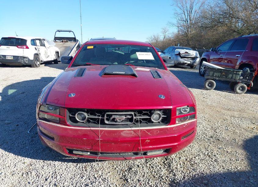 Photo 12 of 2008 Ford Mustang V6 DELUXE/V6 PREMIUM (VIN 1ZVHT80NX85156501)