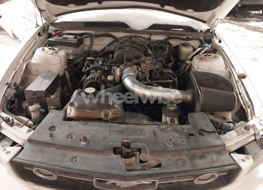 Photo 10 of 2008 Ford Mustang V6 DELUXE/V6 PREMIUM (VIN 1ZVHT80NX85156823)