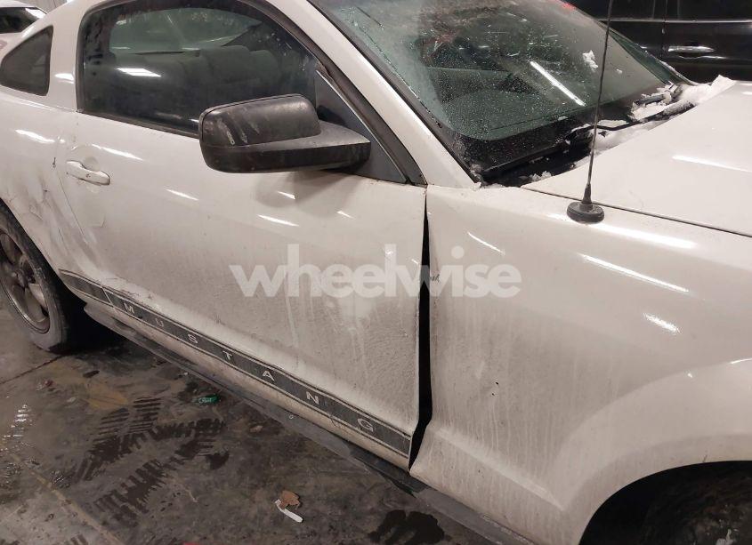 Photo 12 of 2008 Ford Mustang V6 DELUXE/V6 PREMIUM (VIN 1ZVHT80NX85156823)