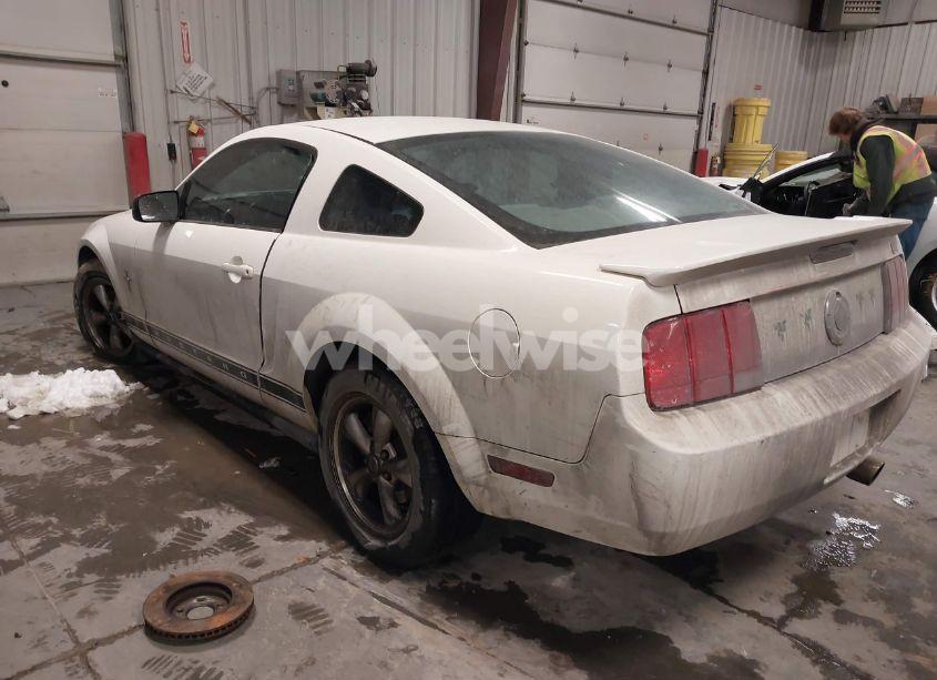 Photo 3 of 2008 Ford Mustang V6 DELUXE/V6 PREMIUM (VIN 1ZVHT80NX85156823)