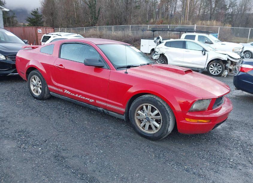 2008 Ford Mustang V6 DELUXE/V6 PREMIUM (VIN 1ZVHT80NX85165277) main photo