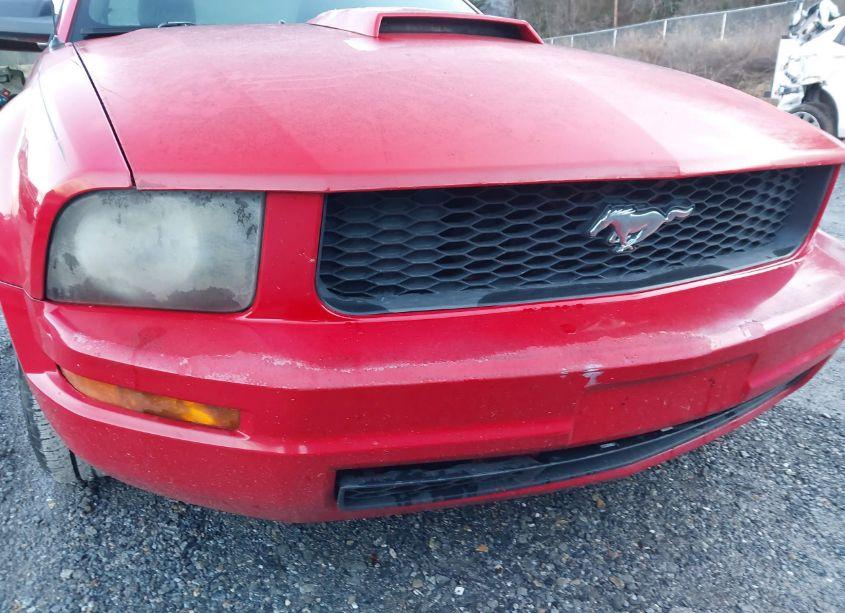 Photo 12 of 2008 Ford Mustang V6 DELUXE/V6 PREMIUM (VIN 1ZVHT80NX85165277)