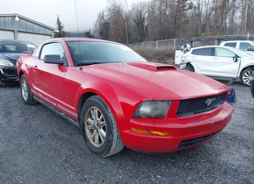 Photo 6 of 2008 Ford Mustang V6 DELUXE/V6 PREMIUM (VIN 1ZVHT80NX85165277)