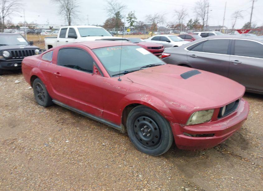 2008 Ford Mustang V6 DELUXE/V6 PREMIUM (VIN 1ZVHT80NX85169443) main photo