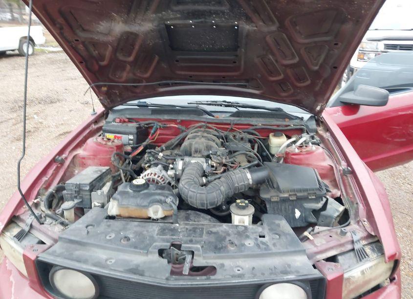 Photo 10 of 2008 Ford Mustang V6 DELUXE/V6 PREMIUM (VIN 1ZVHT80NX85169443)