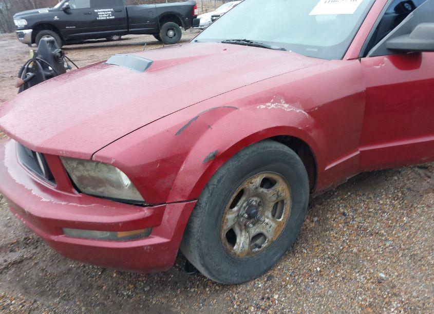 Photo 6 of 2008 Ford Mustang V6 DELUXE/V6 PREMIUM (VIN 1ZVHT80NX85169443)