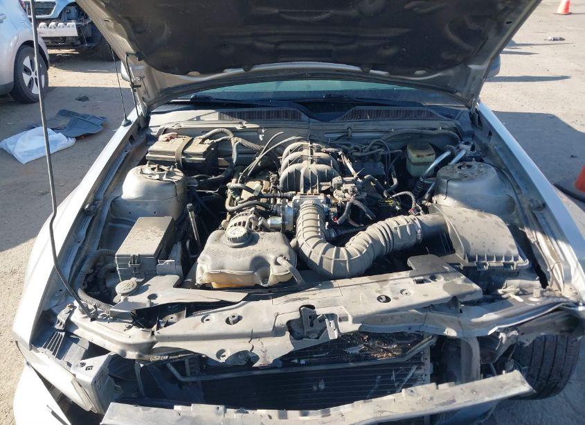 Photo 10 of 2008 Ford Mustang V6 DELUXE (VIN 1ZVHT80NX85196609)