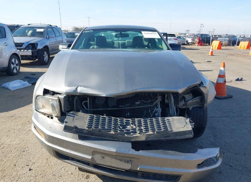 Photo 6 of 2008 Ford Mustang V6 DELUXE (VIN 1ZVHT80NX85196609)