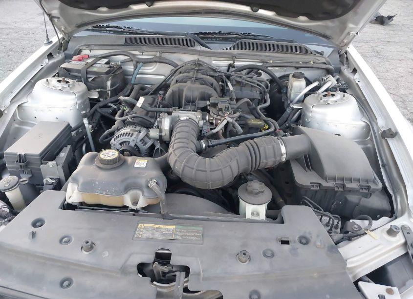 Photo 10 of 2009 Ford Mustang V6 (VIN 1ZVHT80NX95100897)