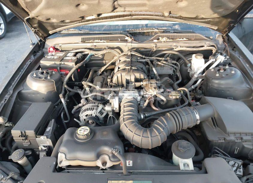 Photo 10 of 2009 Ford Mustang V6/V6 PREMIUM (VIN 1ZVHT80NX95106831)