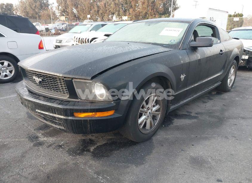 Photo 2 of 2009 Ford Mustang V6/V6 PREMIUM (VIN 1ZVHT80NX95106831)