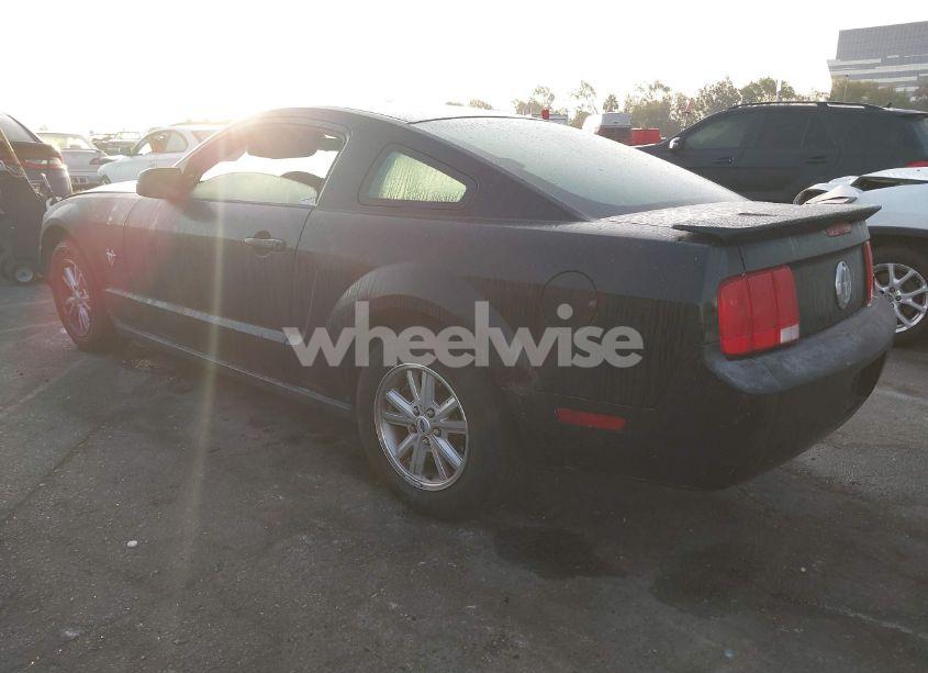 Photo 3 of 2009 Ford Mustang V6/V6 PREMIUM (VIN 1ZVHT80NX95106831)