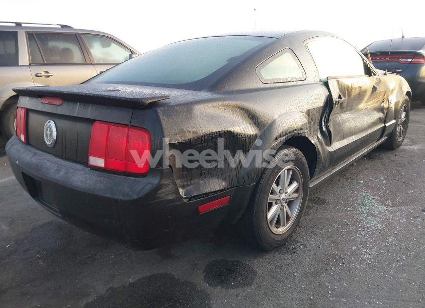 Photo 4 of 2009 Ford Mustang V6/V6 PREMIUM (VIN 1ZVHT80NX95106831)