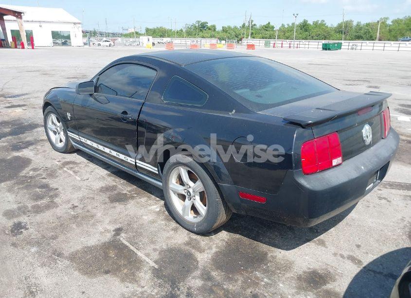 Photo 3 of 2009 Ford Mustang V6/V6 PREMIUM (VIN 1ZVHT80NX95112192)