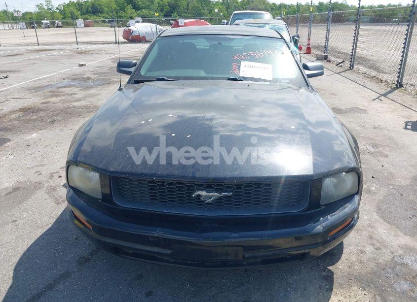 Photo 6 of 2009 Ford Mustang V6/V6 PREMIUM (VIN 1ZVHT80NX95112192)