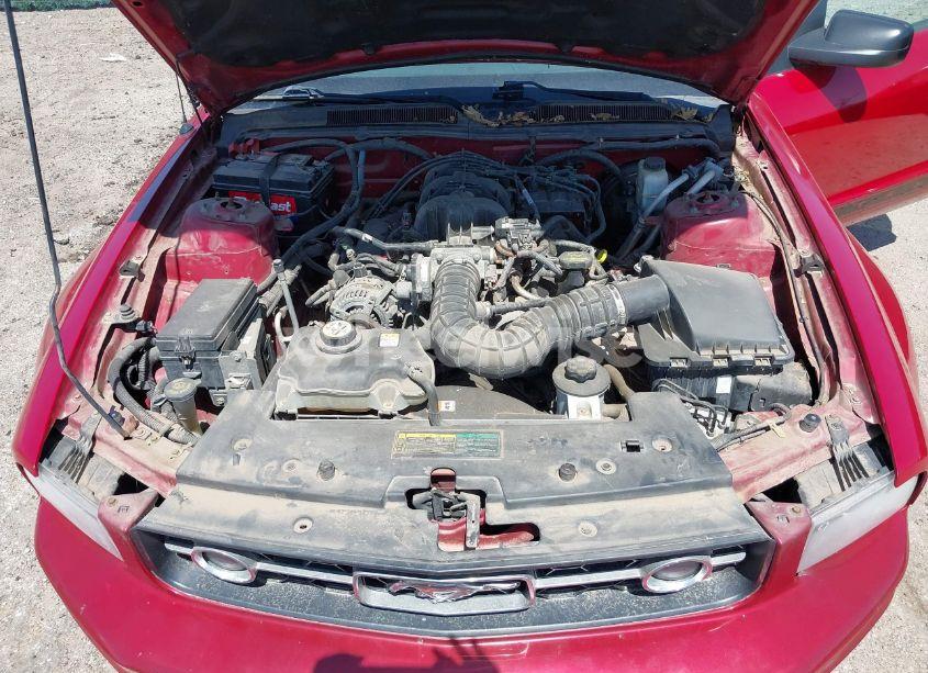 Photo 10 of 2009 Ford Mustang V6/V6 PREMIUM (VIN 1ZVHT80NX95120308)