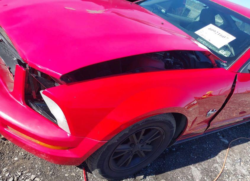 Photo 12 of 2009 Ford Mustang V6/V6 PREMIUM (VIN 1ZVHT80NX95122026)