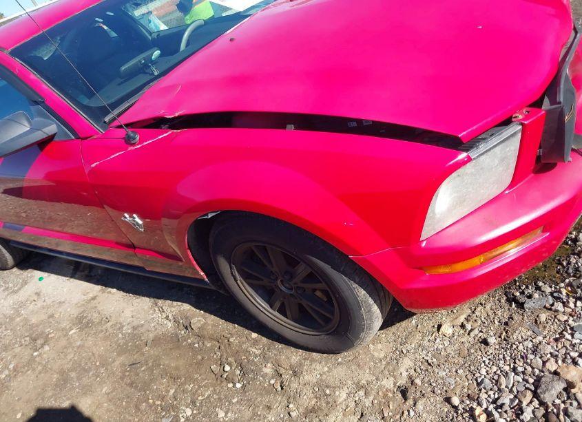 Photo 13 of 2009 Ford Mustang V6/V6 PREMIUM (VIN 1ZVHT80NX95122026)