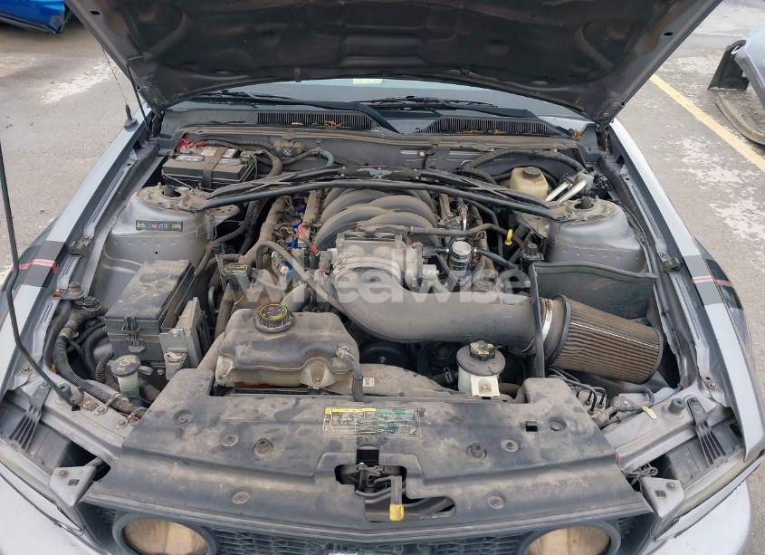 Photo 10 of 2006 Ford Mustang GT (VIN 1ZVHT82H065132924)