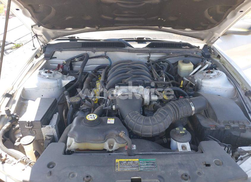 Photo 10 of 2006 Ford Mustang GT (VIN 1ZVHT82H065175045)