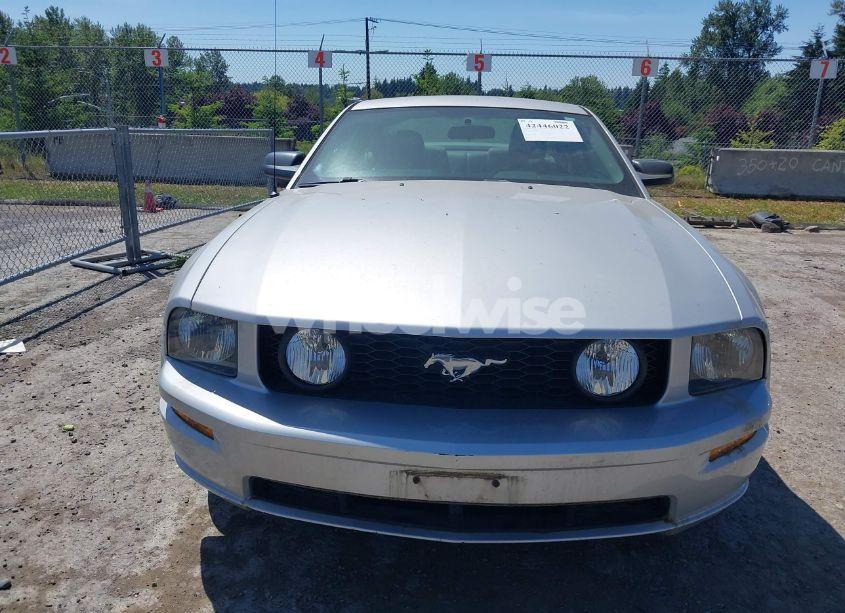 Photo 12 of 2006 Ford Mustang GT (VIN 1ZVHT82H065175045)