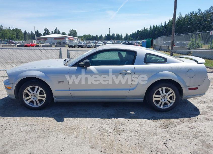 Photo 14 of 2006 Ford Mustang GT (VIN 1ZVHT82H065175045)