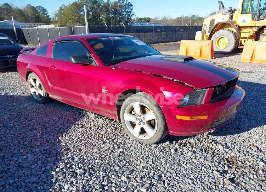 2007 Ford Mustang GT DELUXE/GT PREMIUM (VIN 1ZVHT82H075217702) main photo