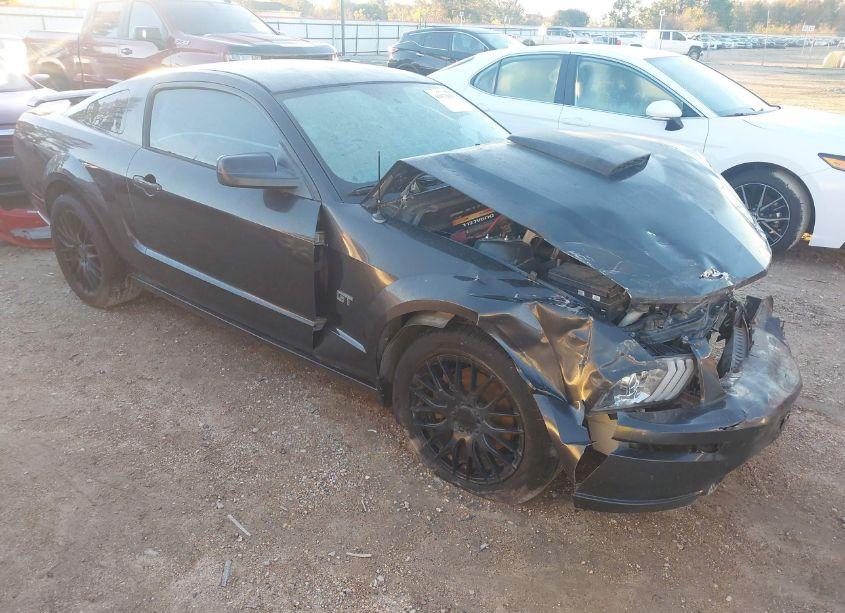 2007 Ford Mustang GT DELUXE/GT PREMIUM (VIN 1ZVHT82H075232619) main photo