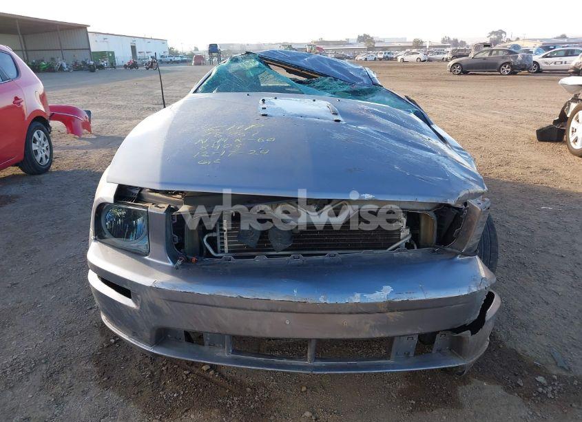 Photo 12 of 2007 Ford Mustang GT DELUXE/GT PREMIUM (VIN 1ZVHT82H075308405)