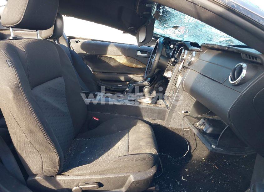 Photo 5 of 2007 Ford Mustang GT DELUXE/GT PREMIUM (VIN 1ZVHT82H075308405)