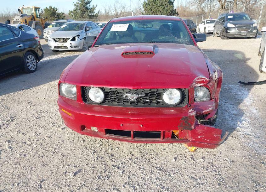 Photo 12 of 2008 Ford Mustang GT DELUXE/GT PREMIUM (VIN 1ZVHT82H085141870)