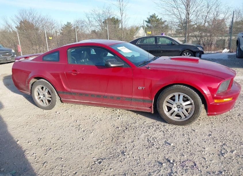 Photo 13 of 2008 Ford Mustang GT DELUXE/GT PREMIUM (VIN 1ZVHT82H085141870)