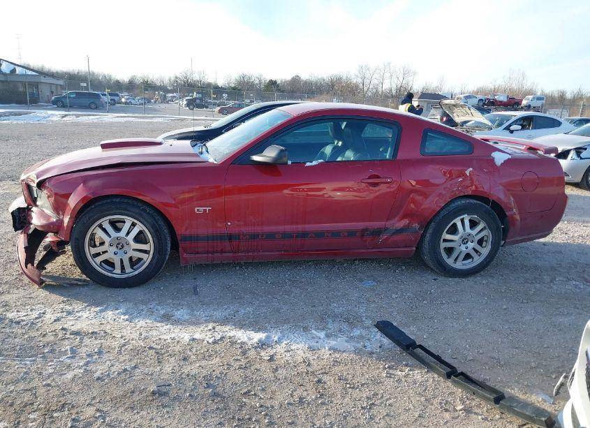 Photo 14 of 2008 Ford Mustang GT DELUXE/GT PREMIUM (VIN 1ZVHT82H085141870)