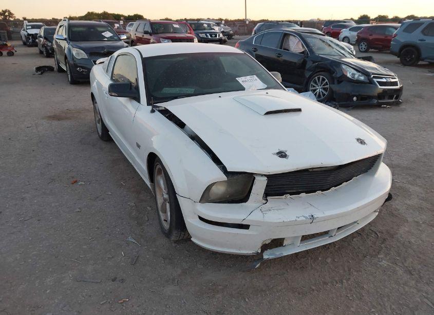 2008 Ford Mustang (VIN 1ZVHT82H085156790) main photo