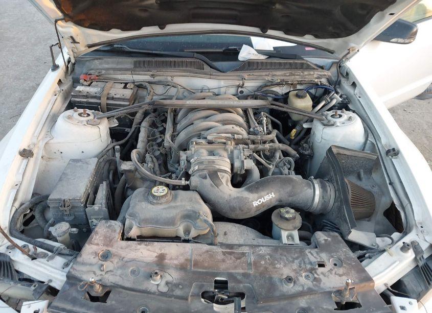 Photo 10 of 2008 Ford Mustang (VIN 1ZVHT82H085156790)