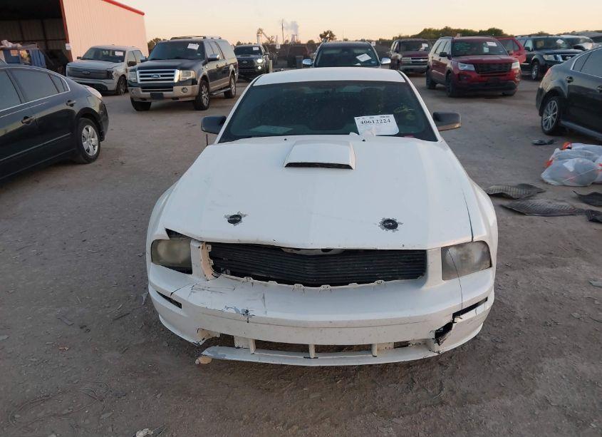 Photo 12 of 2008 Ford Mustang (VIN 1ZVHT82H085156790)