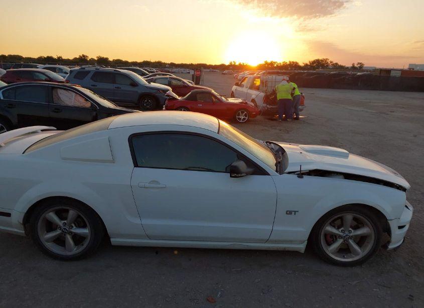 Photo 13 of 2008 Ford Mustang (VIN 1ZVHT82H085156790)