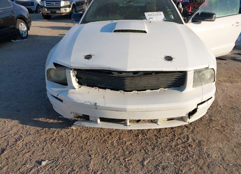 Photo 6 of 2008 Ford Mustang (VIN 1ZVHT82H085156790)