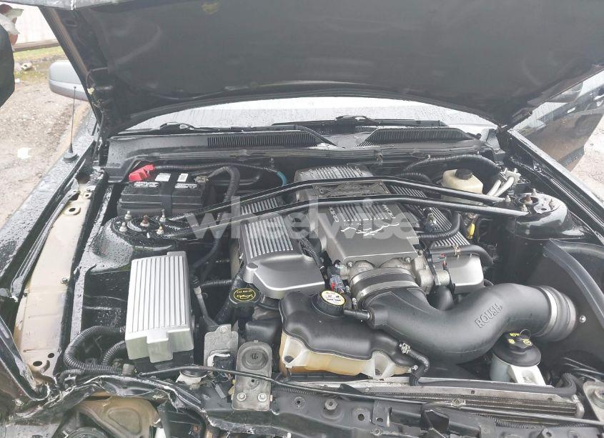 Photo 10 of 2008 Ford Mustang GT DELUXE/GT PREMIUM (VIN 1ZVHT82H085174805)