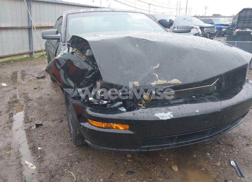 Photo 6 of 2008 Ford Mustang GT DELUXE/GT PREMIUM (VIN 1ZVHT82H085174805)