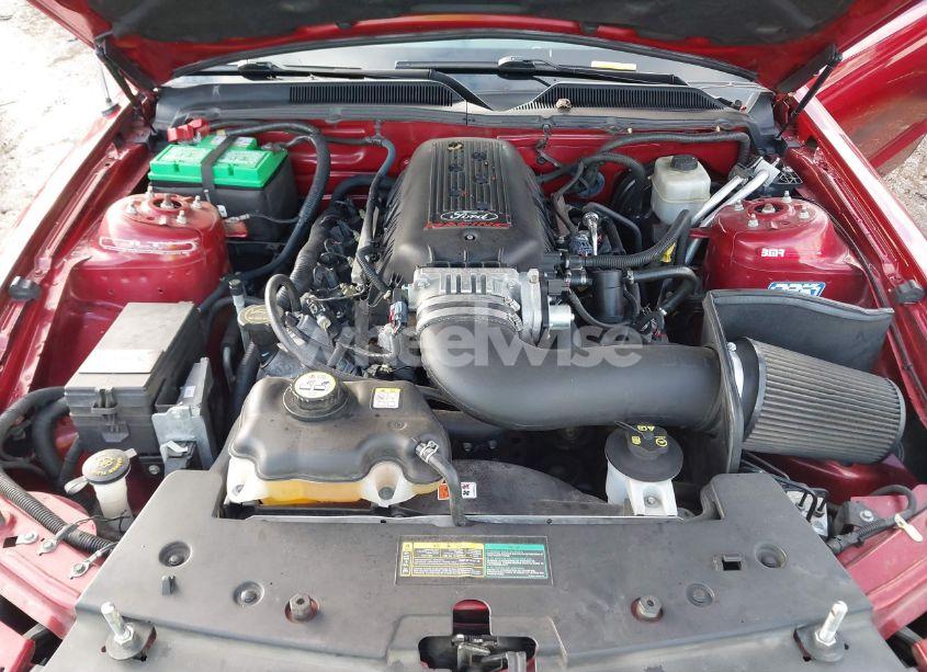 Photo 10 of 2008 Ford Mustang GT DELUXE/GT PREMIUM (VIN 1ZVHT82H085178028)