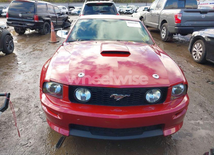 Photo 12 of 2008 Ford Mustang GT DELUXE/GT PREMIUM (VIN 1ZVHT82H085178028)