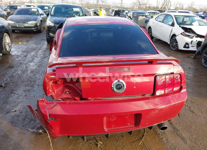 Photo 16 of 2008 Ford Mustang GT DELUXE/GT PREMIUM (VIN 1ZVHT82H085178028)