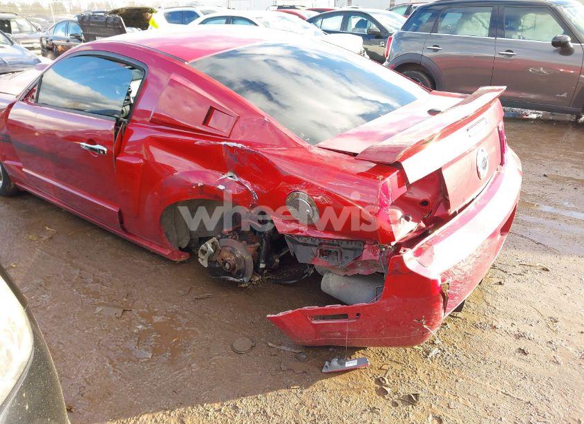 Photo 6 of 2008 Ford Mustang GT DELUXE/GT PREMIUM (VIN 1ZVHT82H085178028)