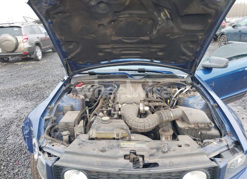 Photo 10 of 2009 Ford Mustang GT/GT PREMIUM (VIN 1ZVHT82H095105825)