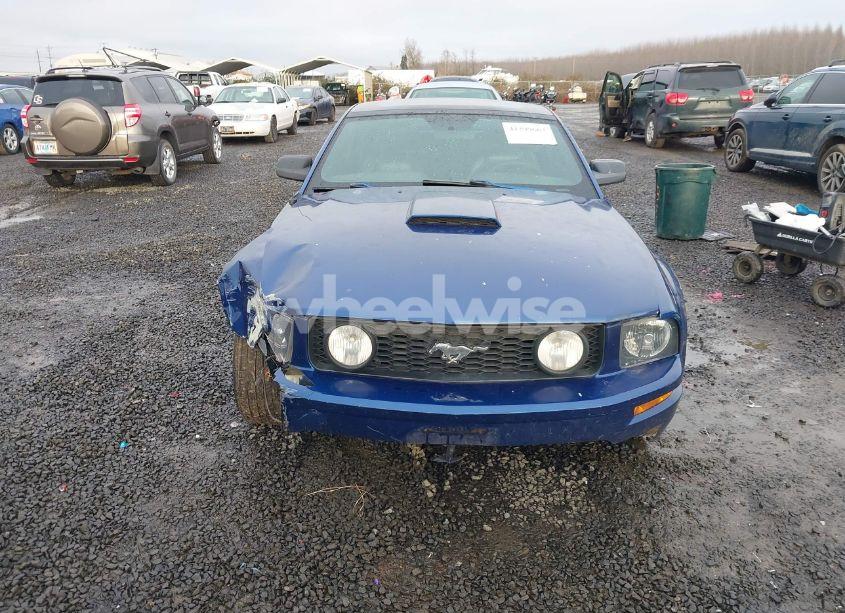 Photo 13 of 2009 Ford Mustang GT/GT PREMIUM (VIN 1ZVHT82H095105825)