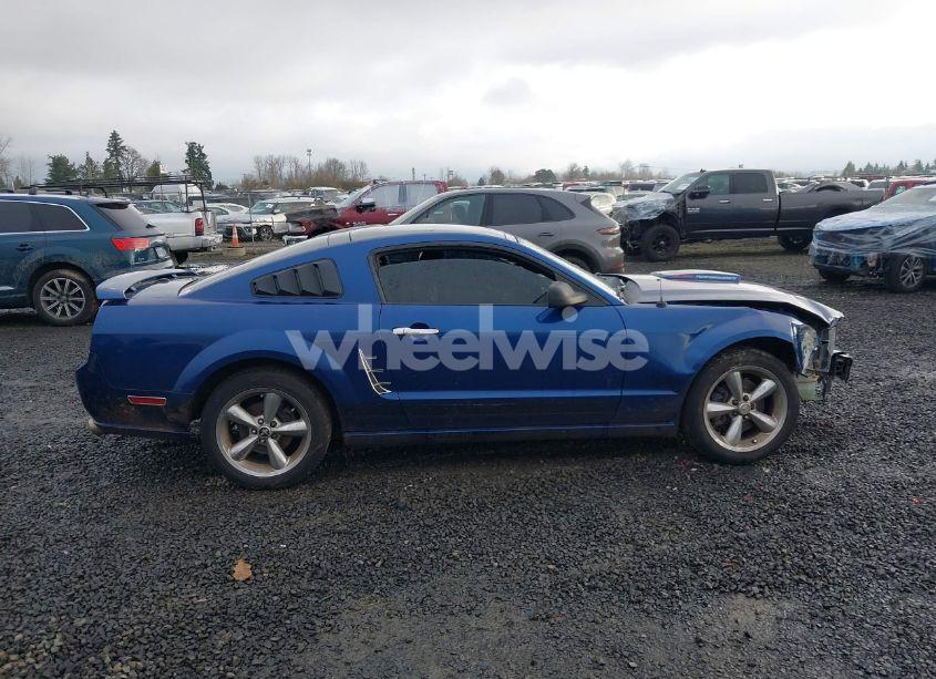 Photo 14 of 2009 Ford Mustang GT/GT PREMIUM (VIN 1ZVHT82H095105825)