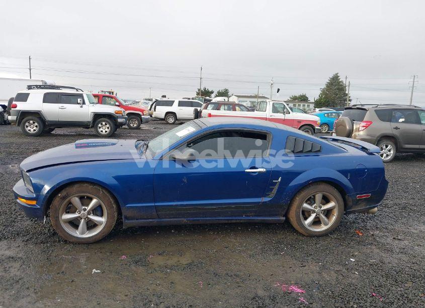 Photo 15 of 2009 Ford Mustang GT/GT PREMIUM (VIN 1ZVHT82H095105825)