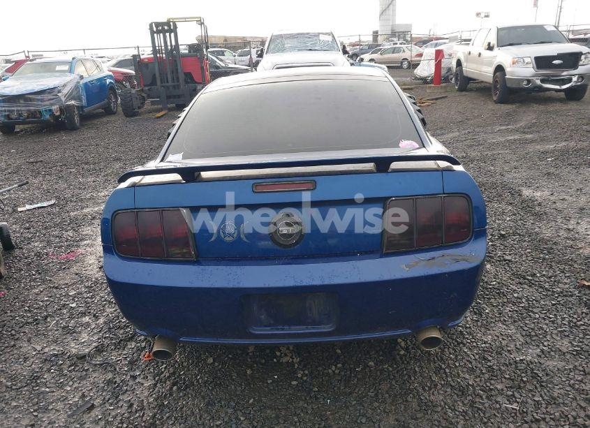 Photo 17 of 2009 Ford Mustang GT/GT PREMIUM (VIN 1ZVHT82H095105825)