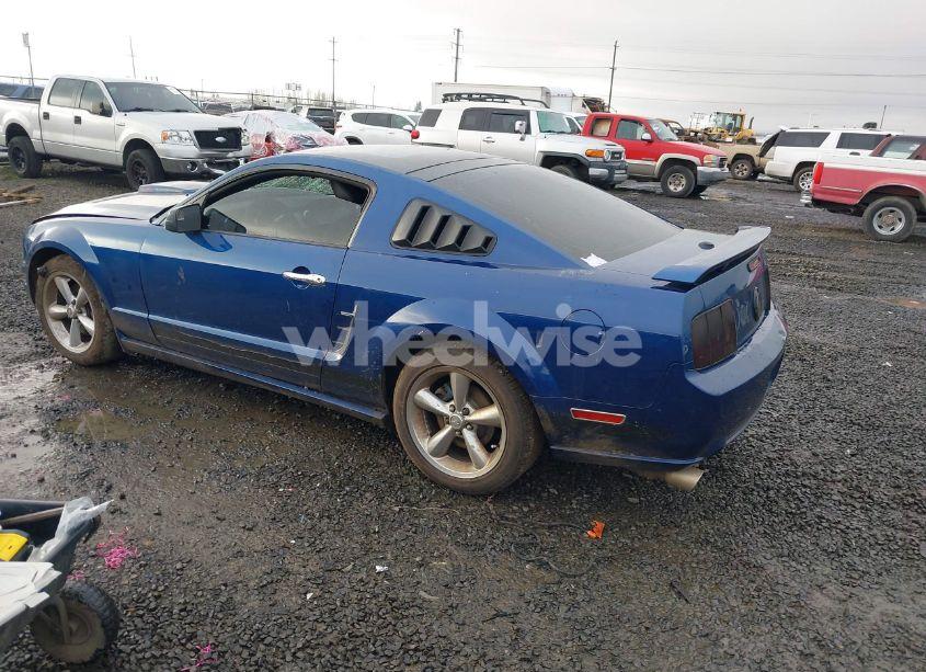 Photo 3 of 2009 Ford Mustang GT/GT PREMIUM (VIN 1ZVHT82H095105825)